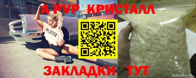 стафф Мариинск