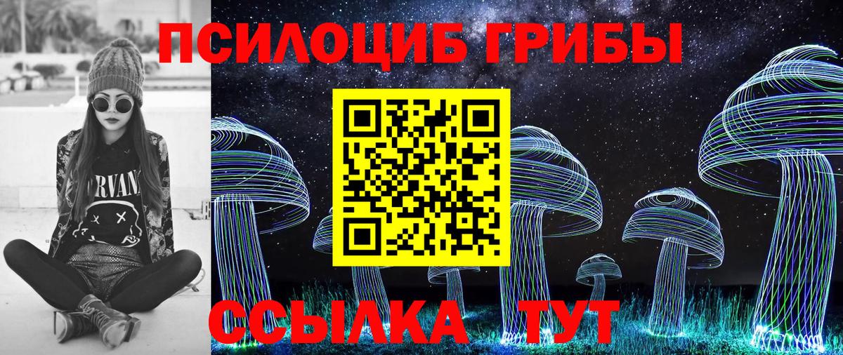 Галлюциногенные грибы Psilocybe  Вход с VPN  Амурск 